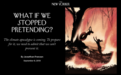 Jonathan Franzen Kicks a Beehive in the New Yorker